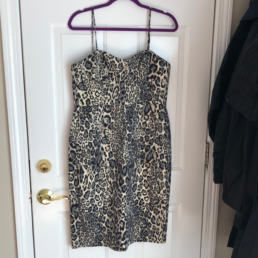 J Crew Collection leopard print sheath. New.